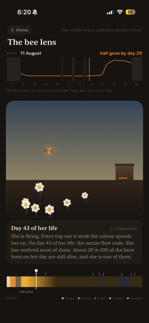 The bee lens, following one worker on day 43 of her life