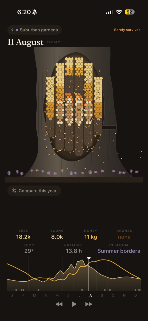 A colony in August, shown as a cross section of comb inside a hollow tree, with population, honey and forage below